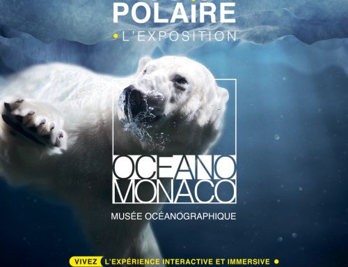 Quatrième surprise de Var Actu : gagnez une visite au Musée océanographique de Monaco