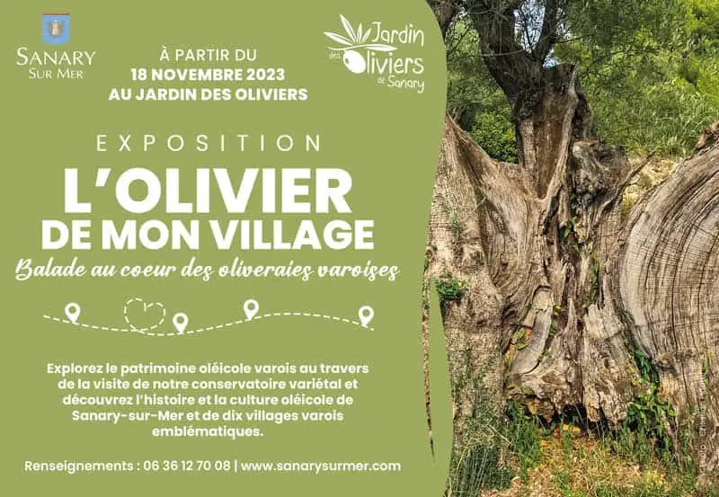 olivier de mon village