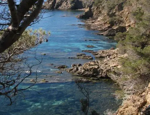 Chute d’un homme sur le sentier du littoral à Bormes-les-Mimosas