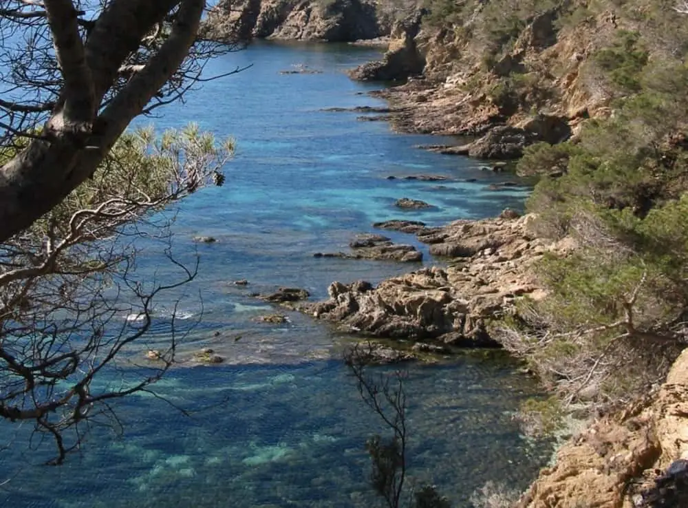 chute homme sentier Bormes-les-Mimosas