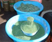spiruline