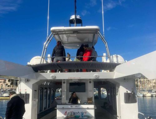 Bandol célèbre la solidarité avec le Père Noël Vert organisé par Atlantide