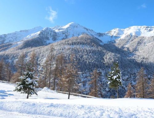 Enfin! La Côte d’Azur se pare de blanc : les sommets accueillent la neige avec joie