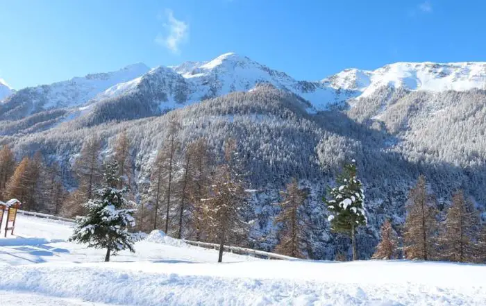 alpes du sud non-skieurs neige côte d'azur randonneur à ski neige var lundi comité candidature jeux olympiques 2030