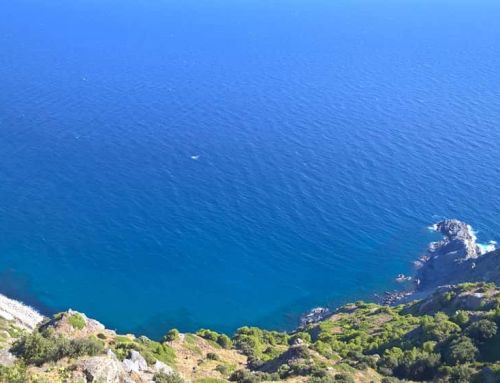 Frôlant la mort : le sauvetage dramatique d’un homme après une chute vertigineuse au Cap Brun à Toulon