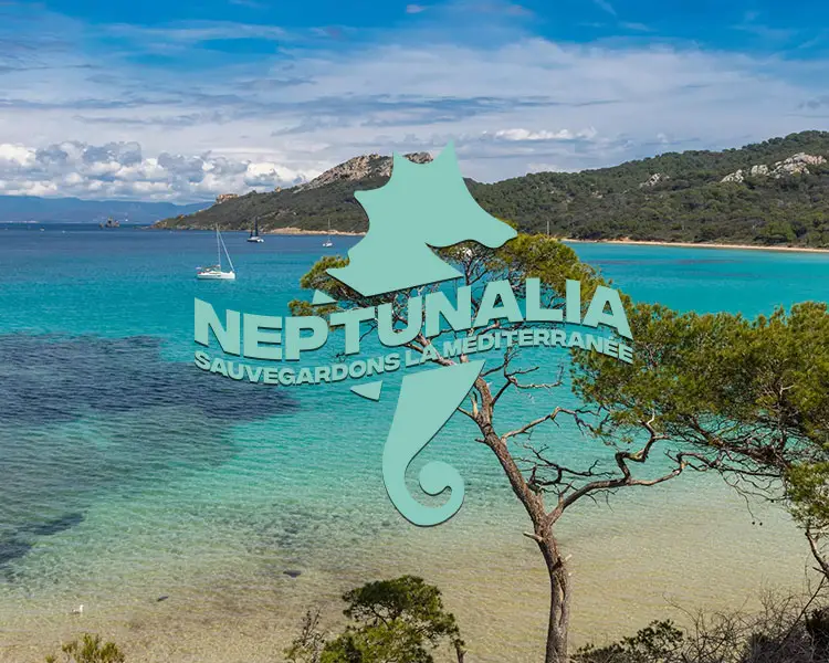 Neptunalia RCT