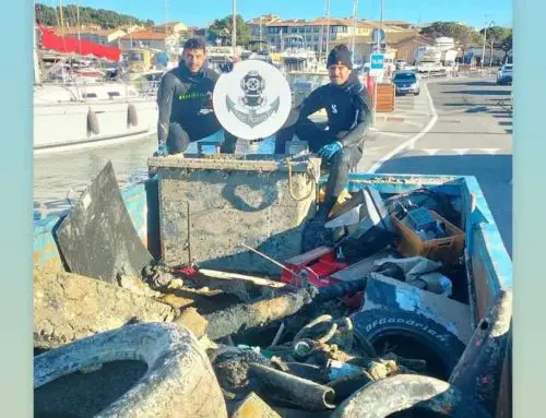 Nettoyage en profondeur : Saint-Tropez lance sa campagne de dépollution maritime
