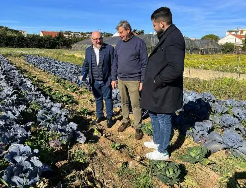 Soutien renforcé à l’agriculture locale : visite de Frédéric Boccaletti dans le Var à La Seyne-sur-Mer