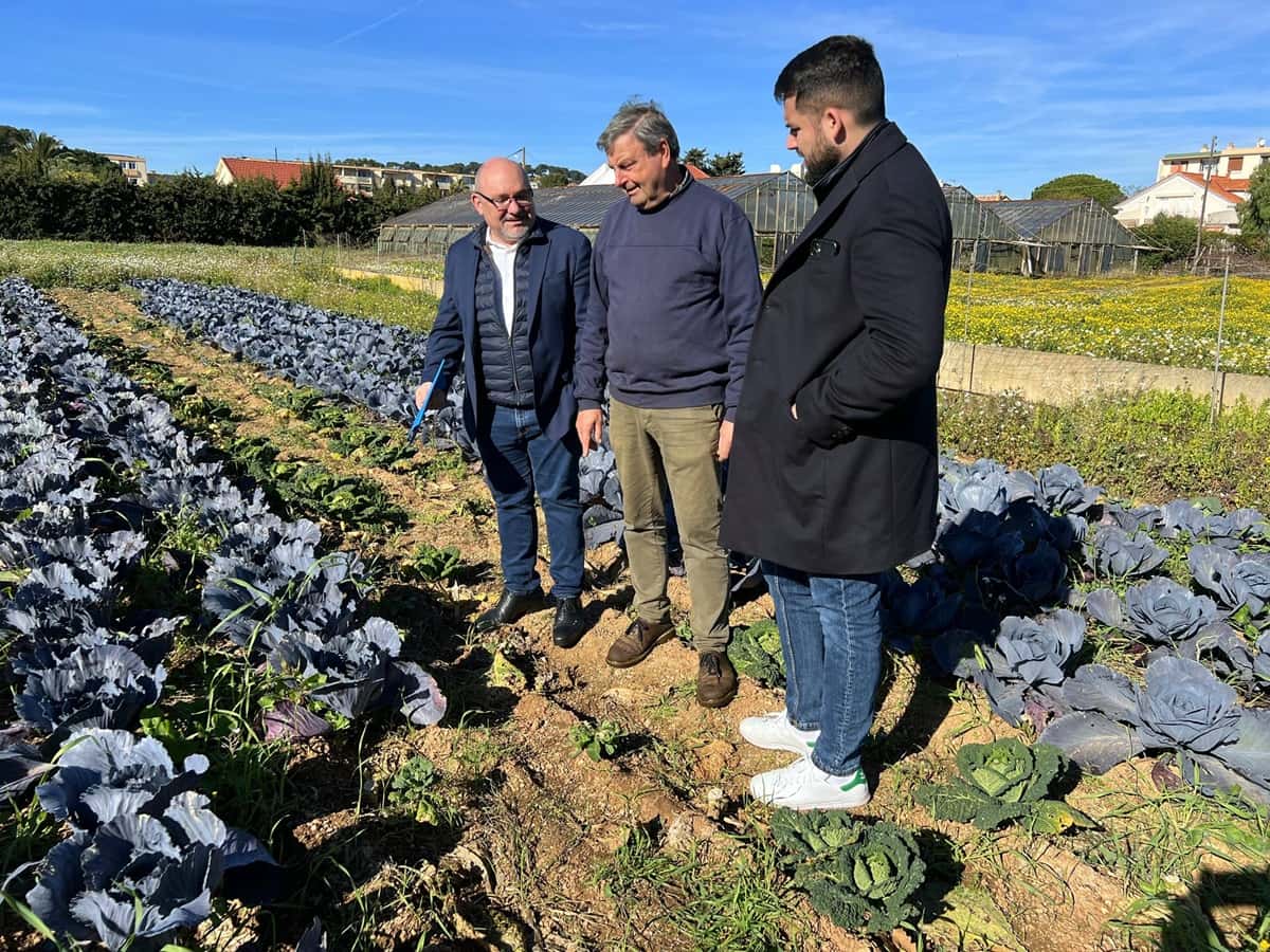 Agriculture locale Frédéric Boccaletti