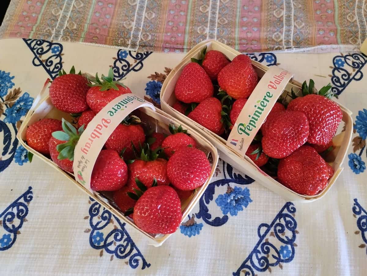 fête de la Fraise Carqueiranne