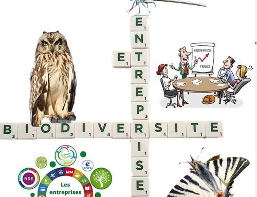 Entreprises et protection de la biodiversité : une conférence clé à Toulon