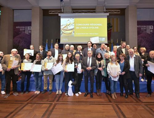 La célébration de l’excellence oléicole au 22ème Concours régional des Huiles d’Olive