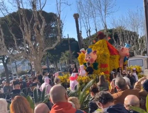 Le corso du mimosa de Sainte-Maxime : un festival fleuri sous le signe des contes et légendes