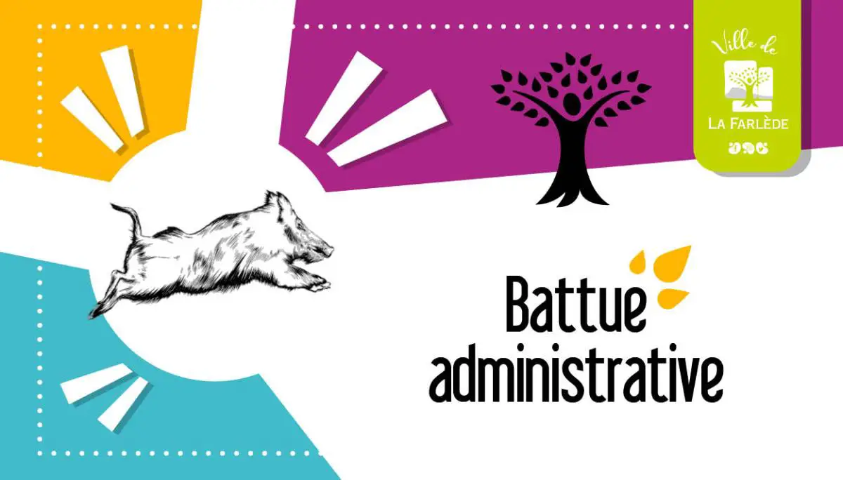 battue administrative