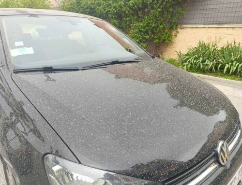 La pluie de ce matin va-t-elle nettoyer les voitures dans le Var ?