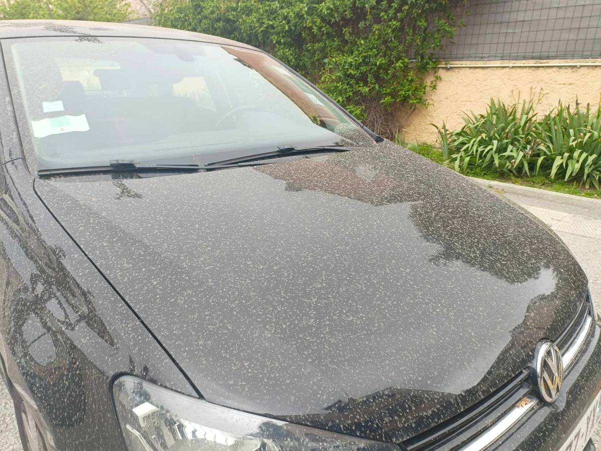 voiture sable laver voiture