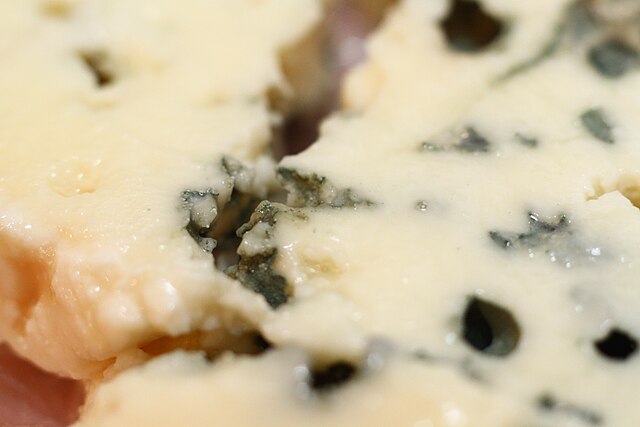 Le roquefort, pilier de la gastronomie française, est confronté à un défi majeur : la perte de diversité génétique de ses souches de moisissures, vitales pour sa fabrication. Cette crise pose des questions sur la survie de ce fromage traditionnel, aussi bien à l'échelle nationale que dans le Var. Une diversité génétique en danger Le signal d'alarme a été tiré en raison de la standardisation des méthodes de production fromagère, en particulier pour les fromages qui nécessitent l'utilisation de moisissures, comme le roquefort. D'après les études menées par l'Université Paris-Saclay, cette uniformisation a mené à une réduction critique de la variété des micro-organismes, affectant principalement les fromages industriels et ceux sans Appellation d'Origine Protégée (AOP). Les conséquences de la sélection Jeanne Ropars, biologiste, met en évidence les effets des sélections trop restrictives des micro-organismes, qui ont diminué leur diversité génétique de manière comparable à ce qui se produit chez des organismes plus complexes. Cette uniformité met en péril les caractéristiques uniques du roquefort. Le cas spécifique du roquefort À l'origine, le roquefort était fabriqué à partir d'une souche spécifique de Penicillium roqueforti, sélectionnée dès le début du XXe siècle. L'évolution vers des souches favorisant un aspect plus attrayant a abouti à une infertilité des souches, compromettant la diversité nécessaire à la production. Vers des alternatives Pour contrer cette perte de diversité, les producteurs de roquefort pourraient envisager l'utilisation de Penicillium biforme, naturellement présent dans le lait cru, comme nouvelle source de diversité génétique. Toutefois, les réglementations strictes et les spécifications de production restreignent les innovations dans la fabrication du roquefort.