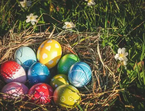 Où chasser les œufs ce week-end dans le Var ? Plongez dans notre guide festif de Pâques