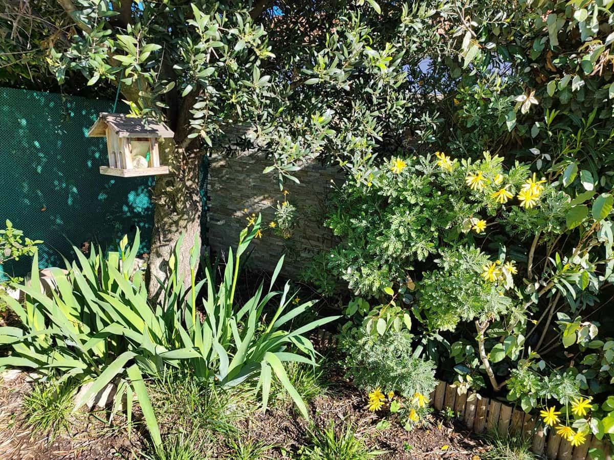 jardins varois adieu mauvaises herbes