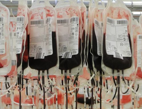 Alerte dans le Var : forte baisse des dons du sang depuis la pandémie