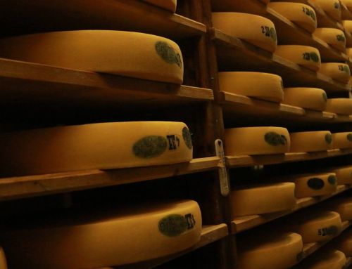 Alertes sanitaires dans le Var : rappel de fromages chez Grand Frais et Auchan pour risques de contamination
