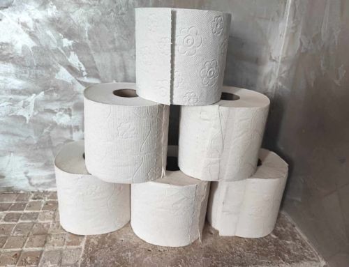 Vers la fin du papier toilette ? Voici ce qui le remplace de manière révolutionnaire
