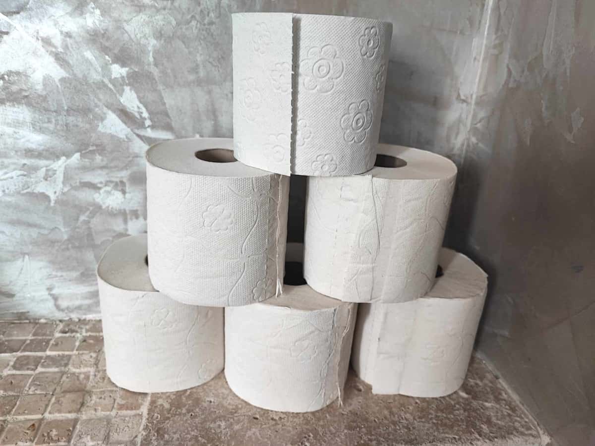 fin du papier toilette