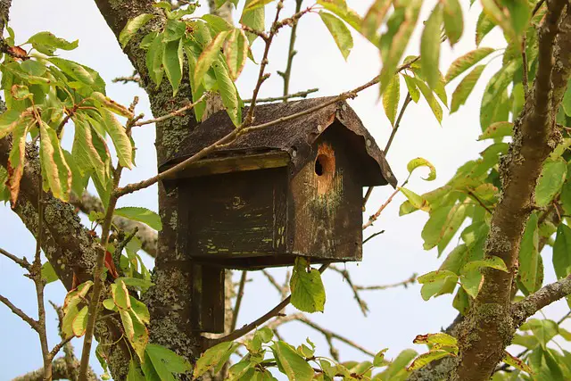 biodiversité nichoir bandol