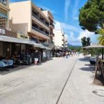 commerçants du Var Toussaint