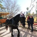 Clos Olive en fête Toulon