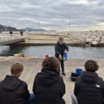 Collégiens Toulon réhabilitation corail