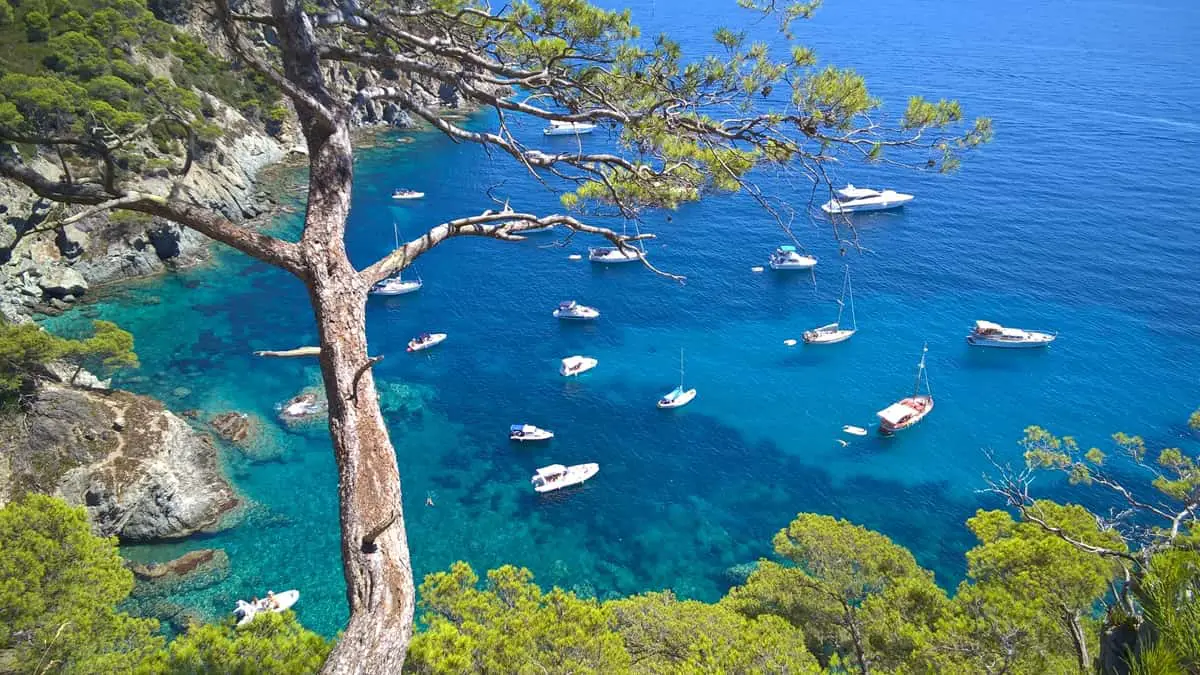 Photographie nature Var