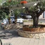 Toulon places rénovées