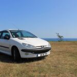 Peugeot_206