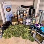 Une culture de cannabis découverte à Saint-Maximin-la-Sainte-Baume avec deux personnes condamnées