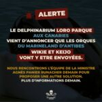 Transfert orques Marineland Canaries