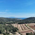Ciel bleu et soleil dans le Var