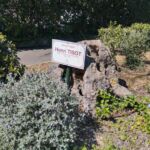 Rond point Henri Tisot