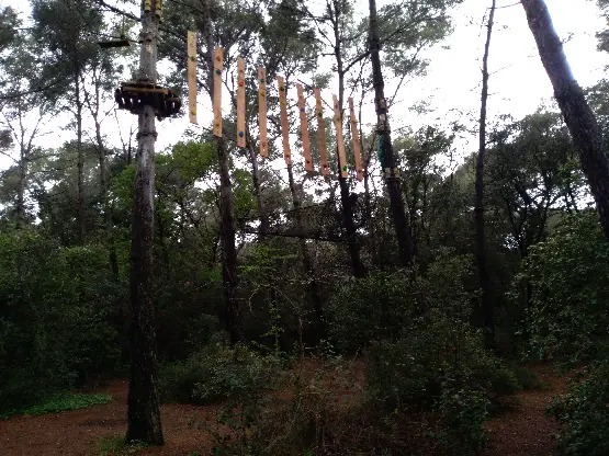 agrès d'accrobranches