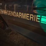 Chevreuil percuté RD560 Pontevès