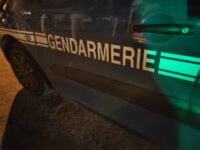 Chevreuil percuté RD560 Pontevès