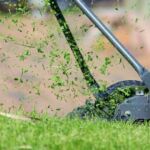 recycler herbe tondue jardin