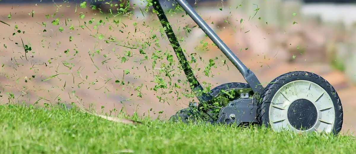 recycler herbe tondue jardin