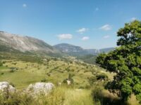 mont lachens dpuis Bargème
