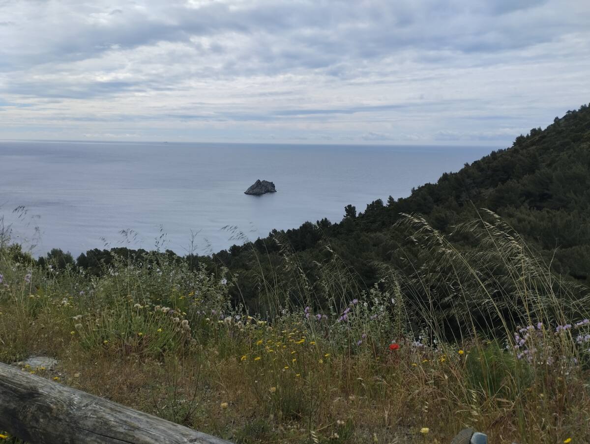 les deux frères Quand les deux frères ne font qu'un...